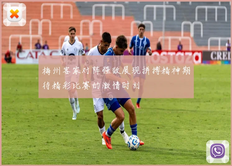 梅州客家对阵强敌展现拼搏精神期待精彩比赛的激情时刻