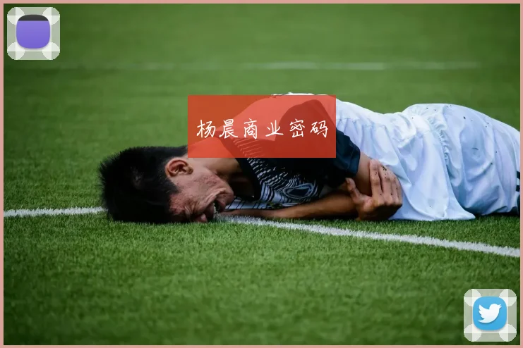 杨晨商业密码