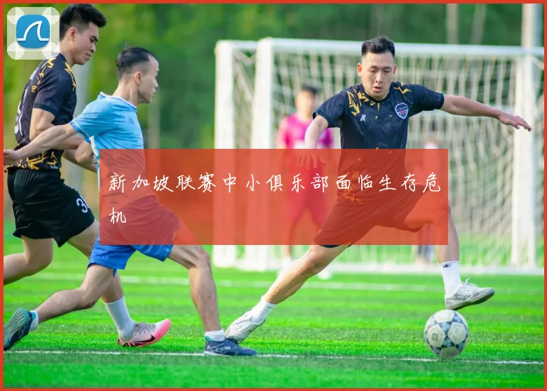 新加坡联赛中小俱乐部面临生存危机