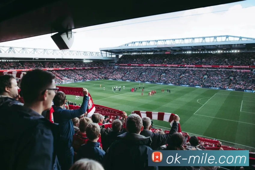 App Interface Preview